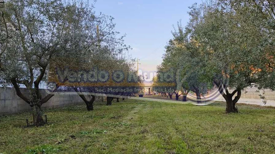 Terreno para Venda em Marinhais