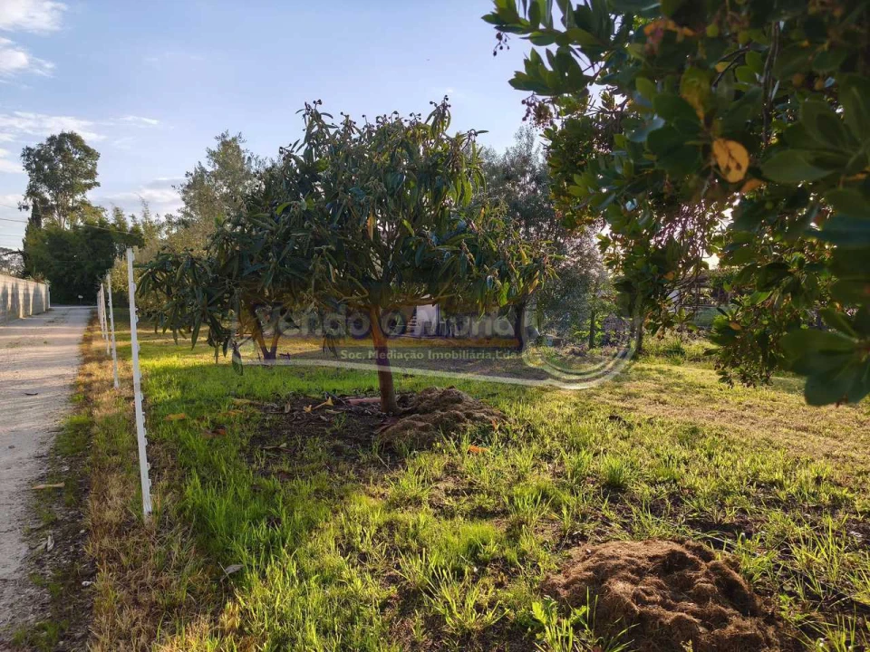 Terreno para Venda em Marinhais Foto 3