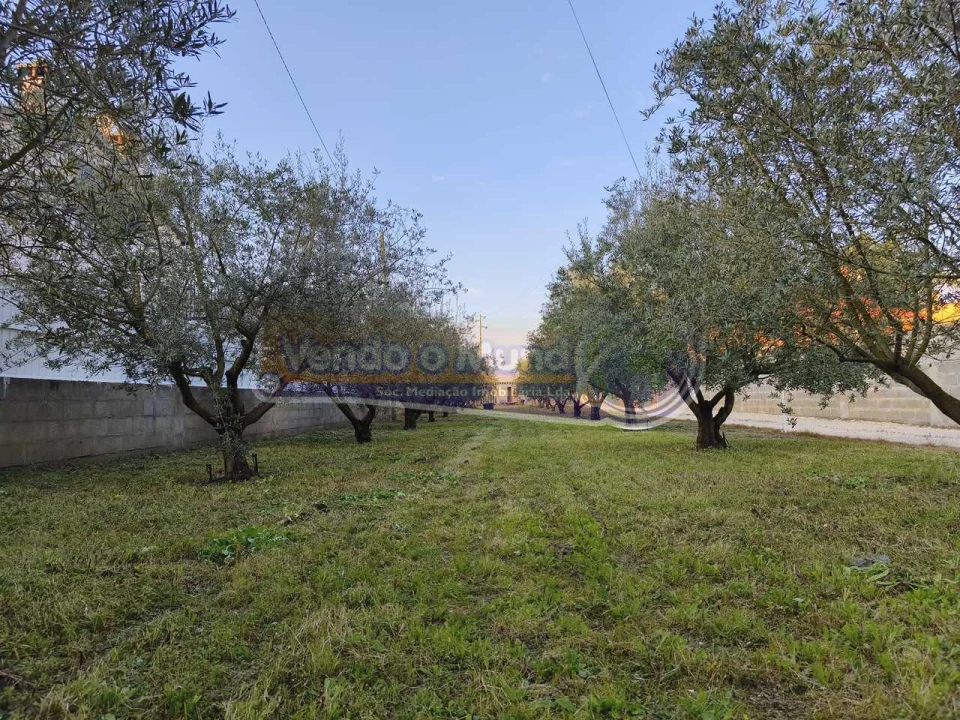 Terreno para Venda em Marinhais Foto 1