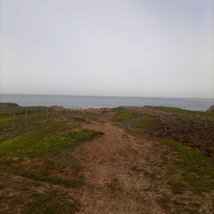 Terreno para Venda em Ferrel Foto 1