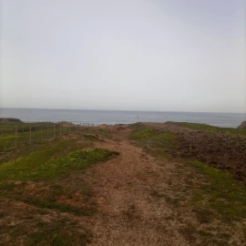 Terreno para Venda em Ferrel