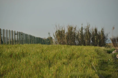 Terreno para Venda em Ferrel