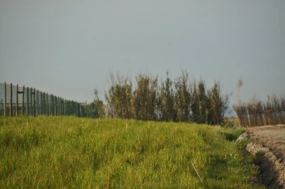 Terreno para Venda em Ferrel