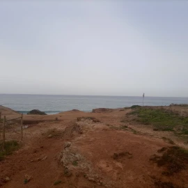 Terreno para Venda em Ferrel
