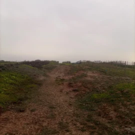 Terreno para Venda em Ferrel