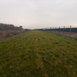 Terreno para Venda em Ferrel