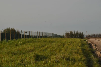 Terreno para Venda em Ferrel