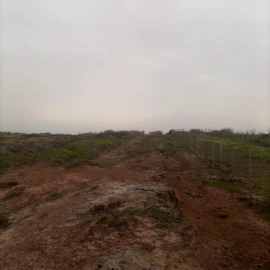 Terreno para Venda em Ferrel