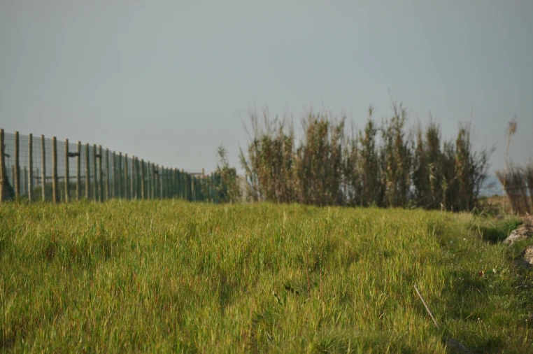 Terreno para Venda em Ferrel Foto 6