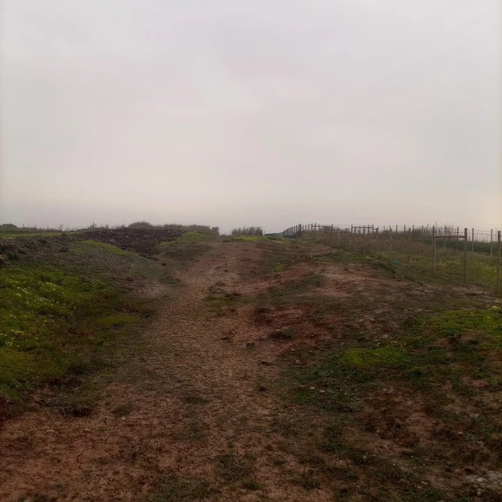 Terreno para Venda em Ferrel Foto 8