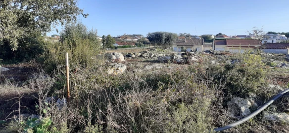 Terreno para Venda em São Bartolomeu dos Galegos e Moledo