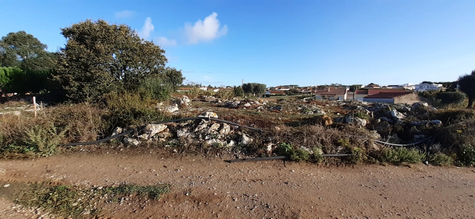 Terreno para Venda em São Bartolomeu dos Galegos e Moledo Foto 5