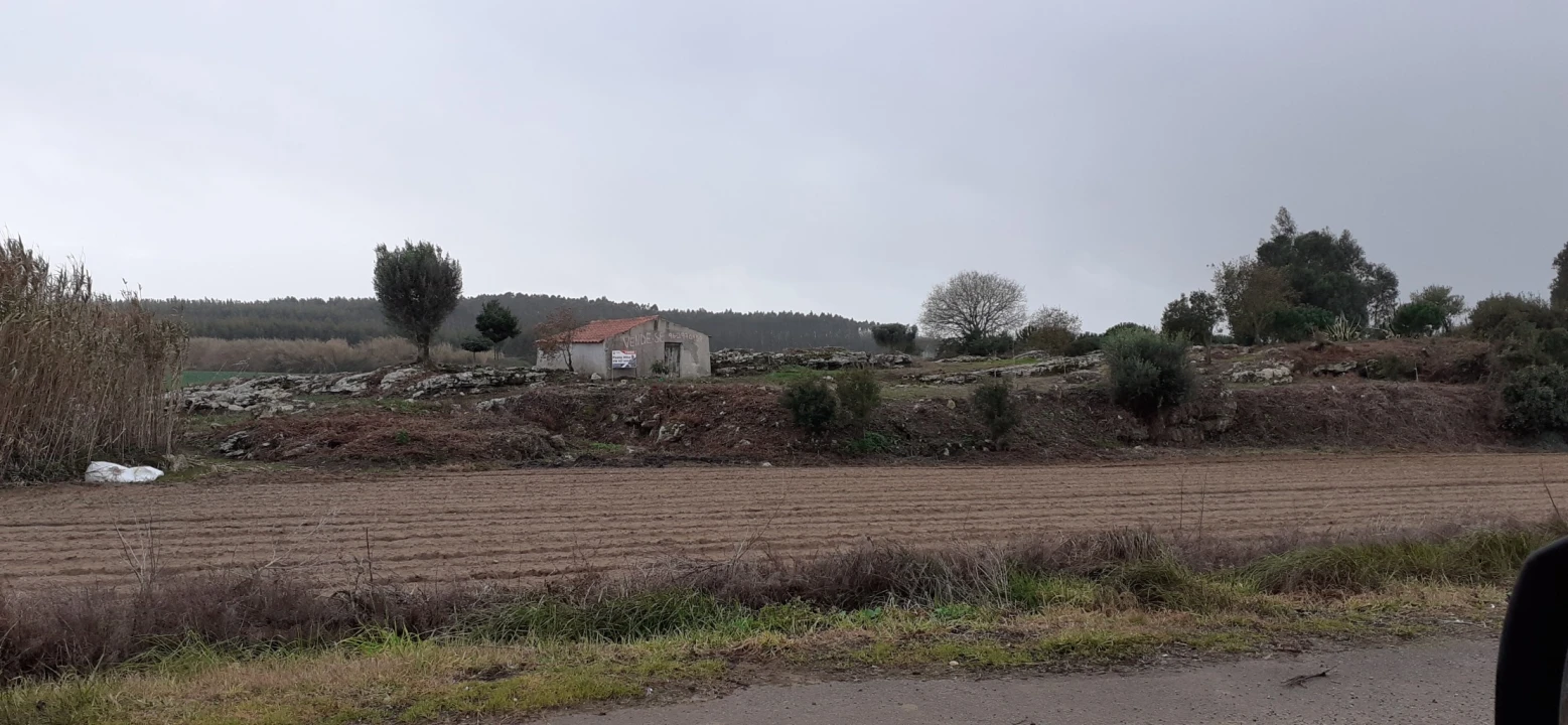 Terreno para Venda em São Bartolomeu dos Galegos e Moledo Foto 14