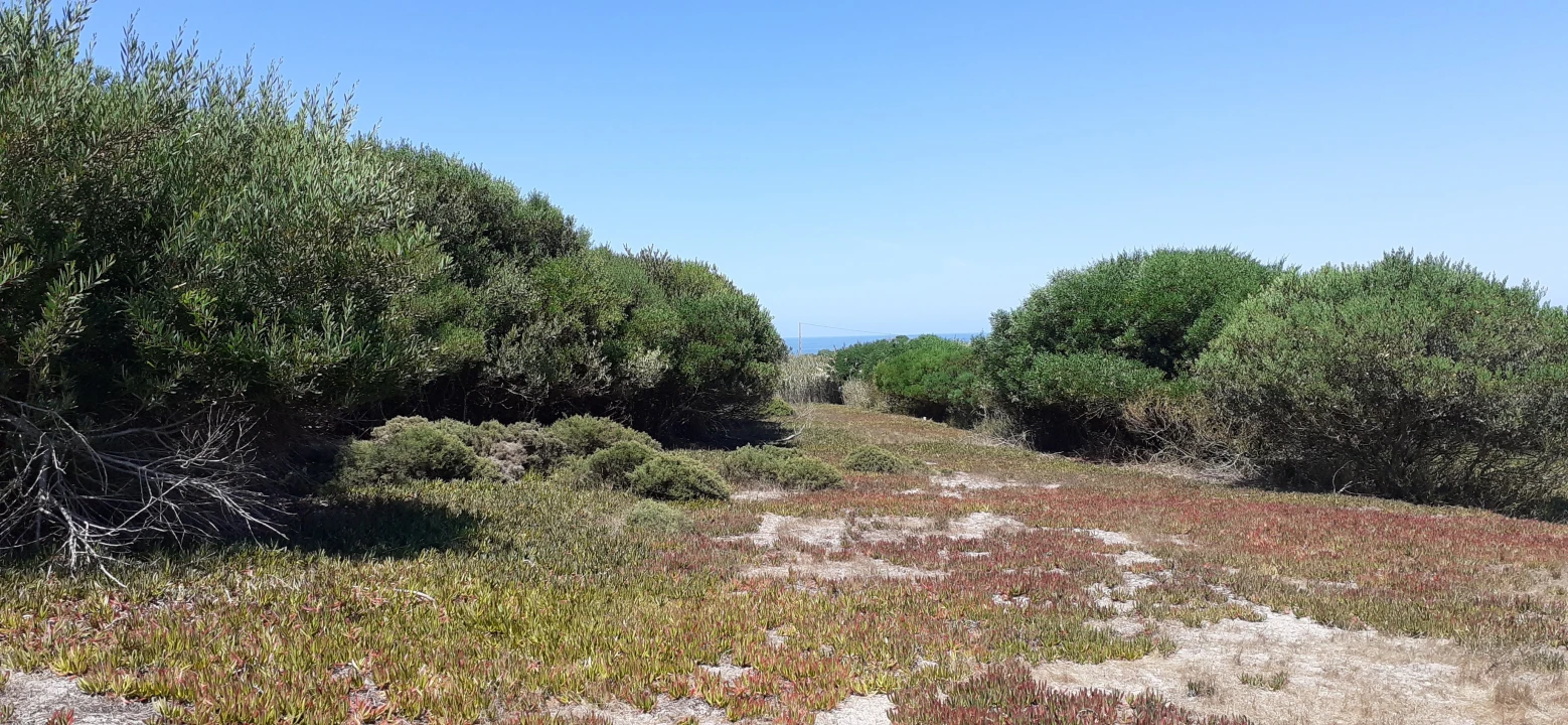 Terreno para Venda em Ferrel Foto 1