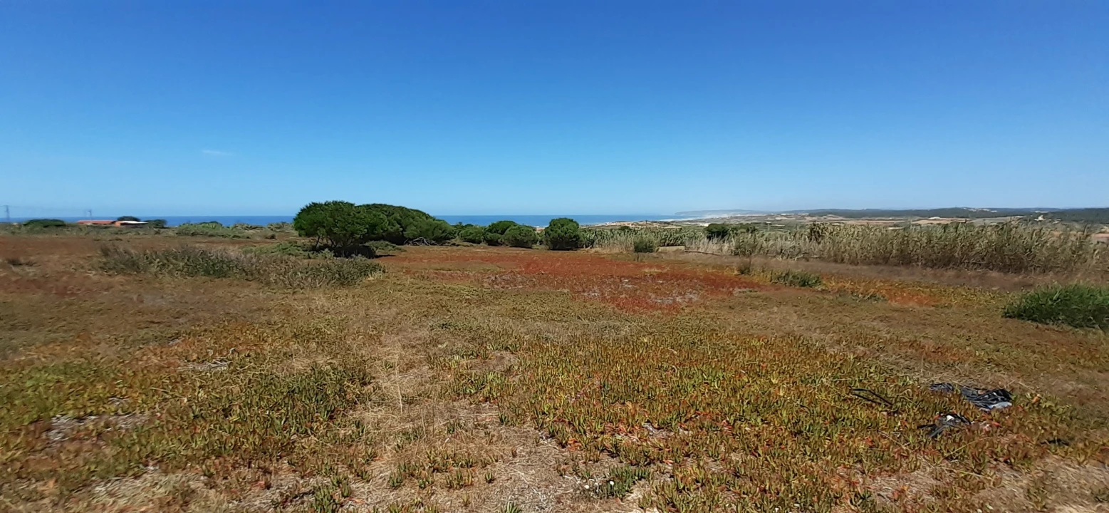 Terreno para Venda em Ferrel Foto 5