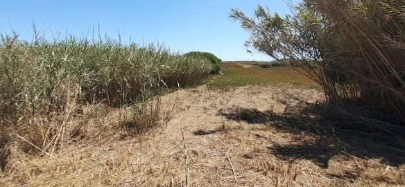 Terreno para Venda em Ferrel