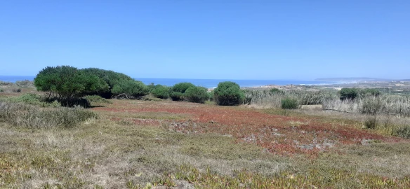Terreno para Venda em Ferrel