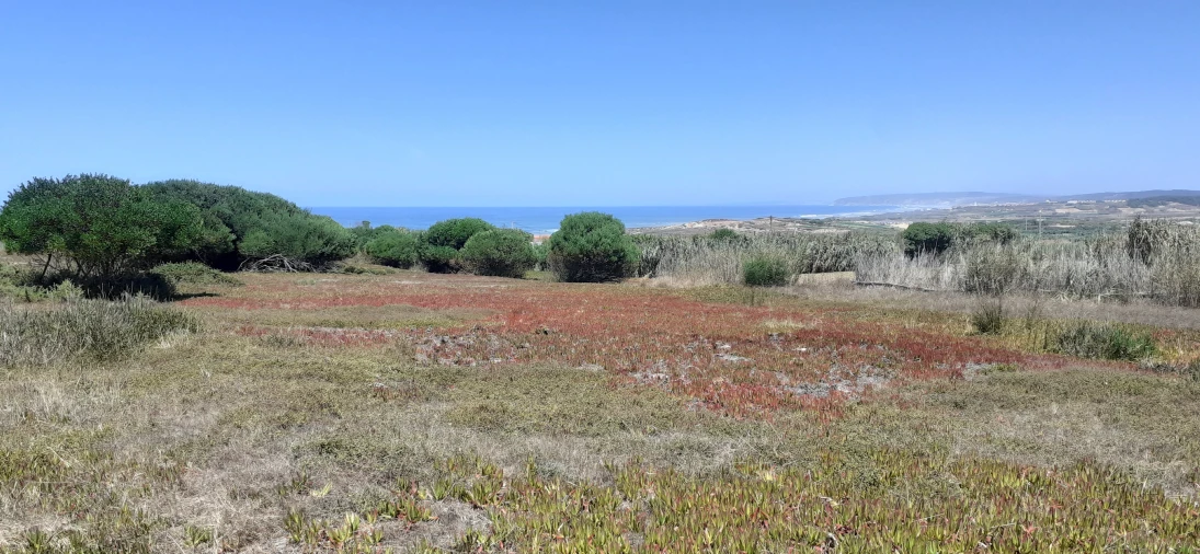 Terreno para Venda em Ferrel Foto 4