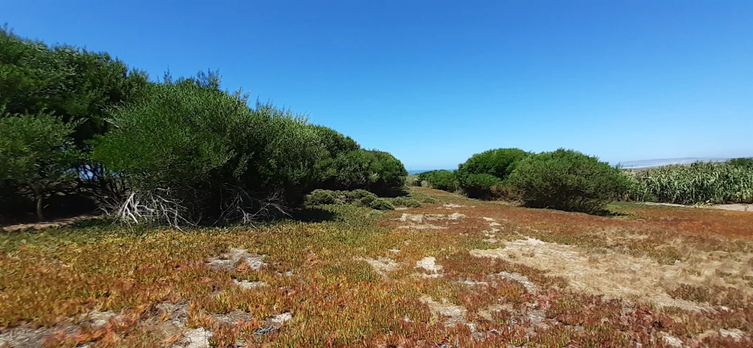 Terreno para Venda em Ferrel Foto 2
