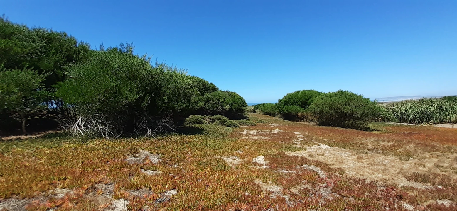 Terreno para Venda em Ferrel Foto 2