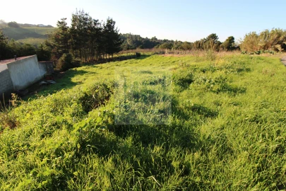 Terreno para Venda em Santa Maria, São Pedro e Sobral da Lagoa