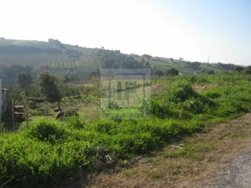 Terreno para Venda em Santa Maria, São Pedro e Sobral da Lagoa