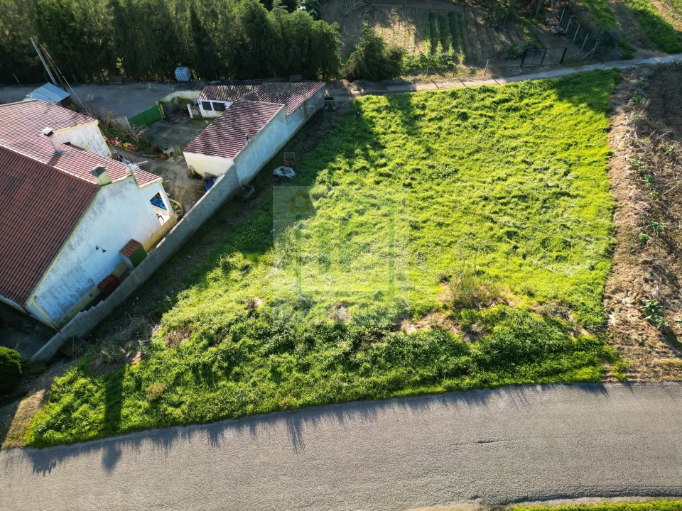 Terreno para Venda em Santa Maria, São Pedro e Sobral da Lagoa Foto 2
