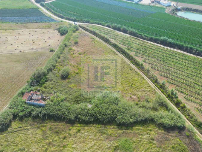 Terreno para Venda em Serra D'El-Rei Foto 10