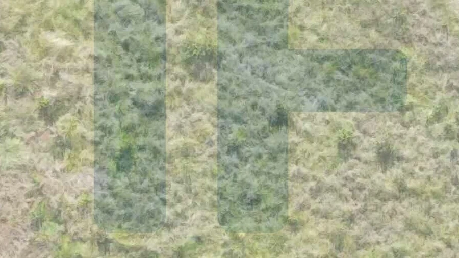 Terreno para Venda em Serra D'El-Rei