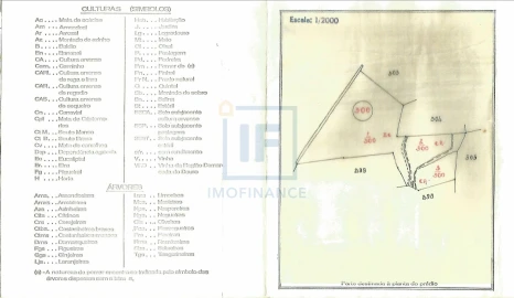 Terreno para Venda em Olho Marinho