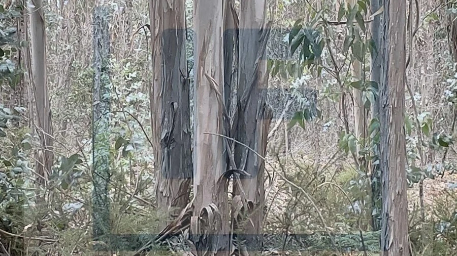 Terreno para Venda em Olho Marinho