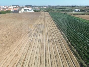 Terreno para Venda em Atouguia da Baleia