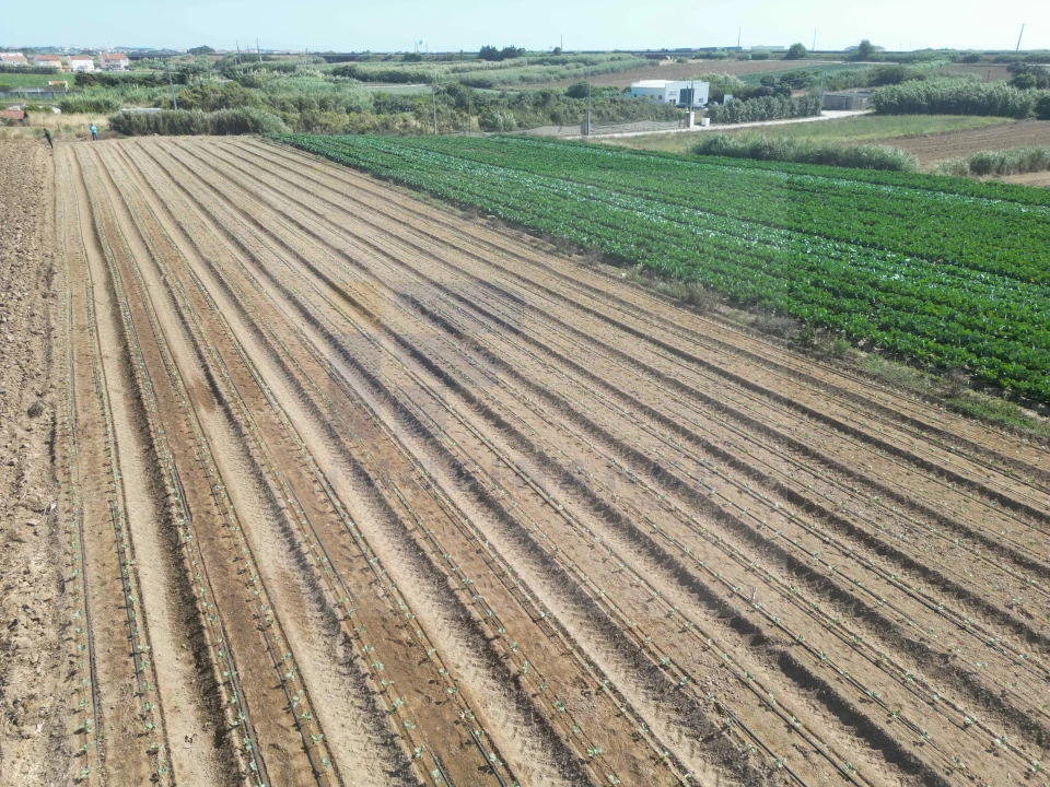 Terreno para Venda em Atouguia da Baleia Foto 1