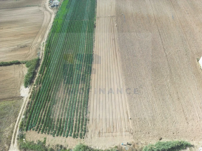 Terreno para Venda em Atouguia da Baleia Foto 5