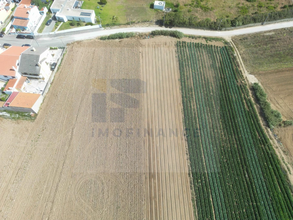 Terreno para Venda em Atouguia da Baleia Foto 6