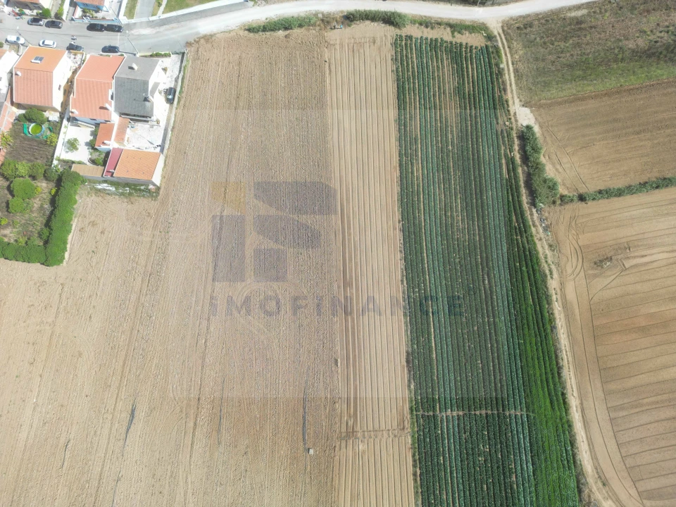 Terreno para Venda em Atouguia da Baleia Foto 2