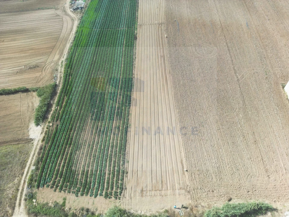 Terreno para Venda em Atouguia da Baleia Foto 5