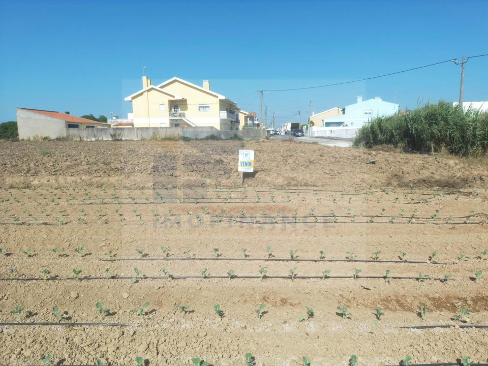 Terreno para Venda em Atouguia da Baleia Foto 3