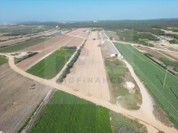 Terreno para Venda em Ferrel