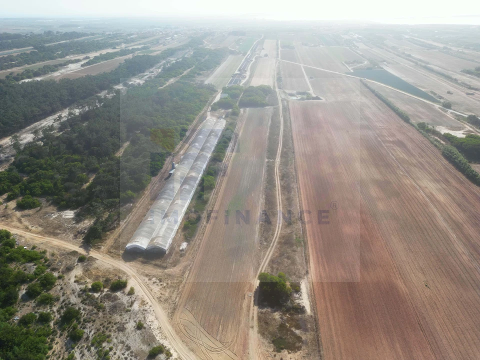 Terreno para Venda em Ferrel Foto 5