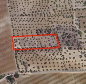 Terreno para Venda em Campo e Campinho