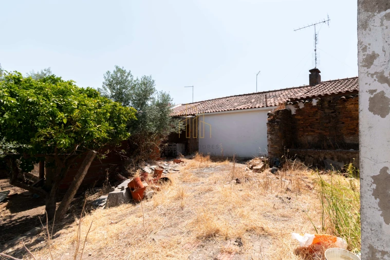 Moradia T3 para Venda em Terena (São Pedro) Foto 10