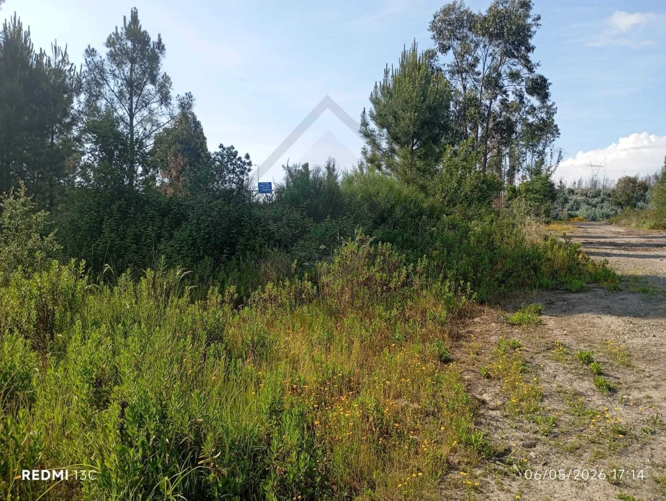 Terreno para Venda em Aguiar de Sousa Foto 5