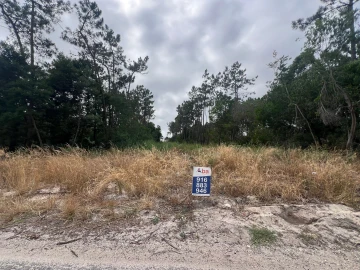 Terreno para Venda em Gafanha da Encarnação