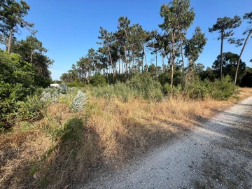 Terreno para Venda em Gafanha da Encarnação