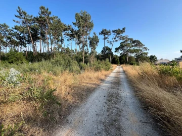 Terreno para Venda em Gafanha da Encarnação