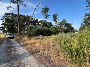Terreno para Venda em Gafanha da Encarnação