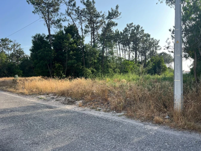 Terreno para Venda em Gafanha da Encarnação Foto 4