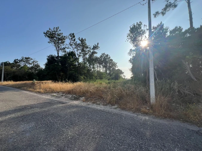 Terreno para Venda em Gafanha da Encarnação Foto 6