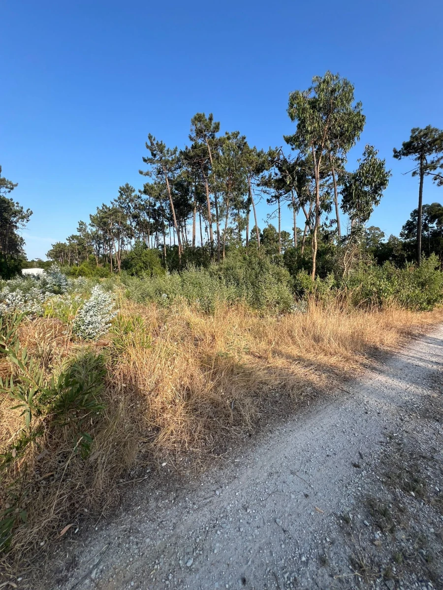 Terreno para Venda em Gafanha da Encarnação Foto 13